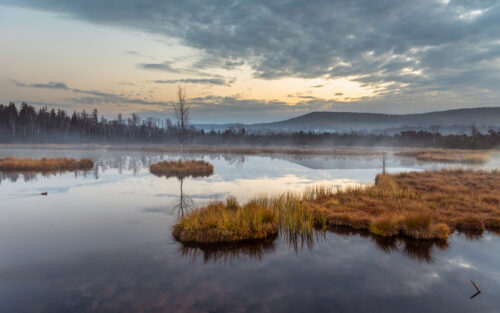 Šumava - Chalupská slať