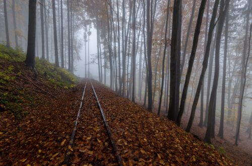 Podzim na úzkokolejce