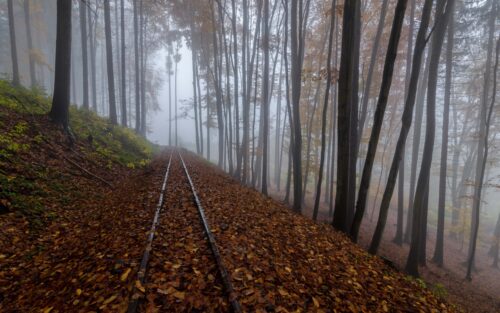 Podzim na úzkokolejce