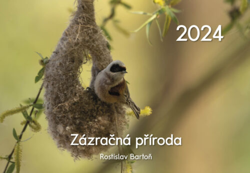 Nástěnný kalendář Zázračná příroda 2024