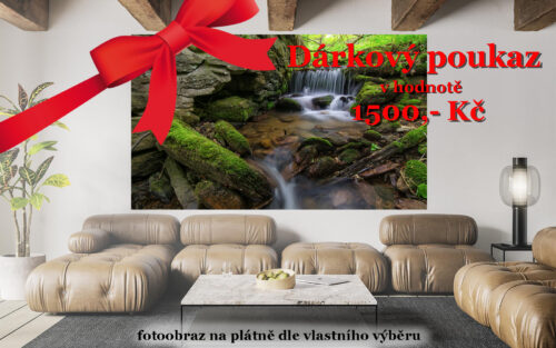 Dárkový poukaz 1500