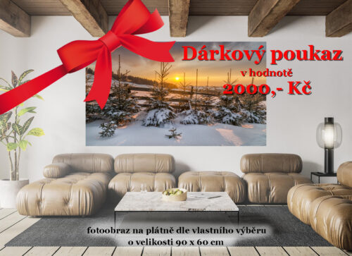 Dárkový poukaz 2000