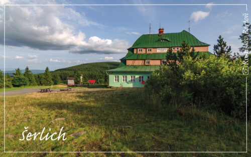 Šerlich