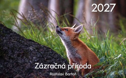 Nástěnný kalendář Zázračná příroda 2027