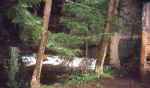 dokume19.JPG (30616 bytes)