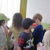 img_6104