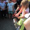 img_6131