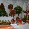 stromek_009
