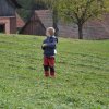 draci_018