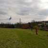 draci_022