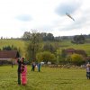 draci_023