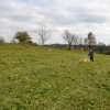 draci_025