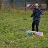 draci_027