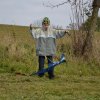 draci_028