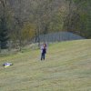 draci_037