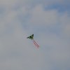 draci_046