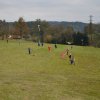 draci_052