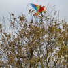 draci_055