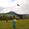 draci_058
