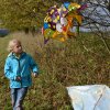 draci_061