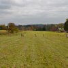 draci_073