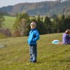 draci_074