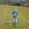 draci_076