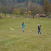 draci_077