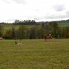 draci_088