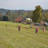 draci_093