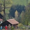 draci_099