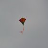 draci_103