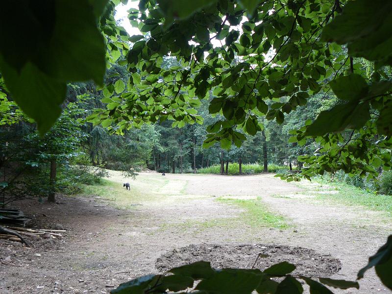 P1020459.JPG